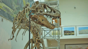 DINOSAUR.01_36_06_01.Still003