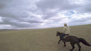 Dana Sherwood Field notes #3