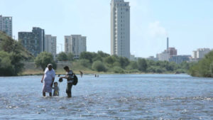 Mark Dion field notes #2-1