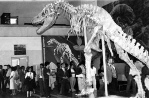 Ази-,-далайн-орнуудын-залуучуудын-ыүсийн-уулзалтанд-ирсэн-төлөөлөгчид-төв-музей-үзэж-байгаа-нь-1984-он