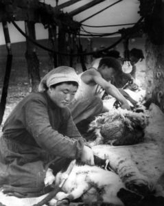 Мал-аж-ахуй-1956-он