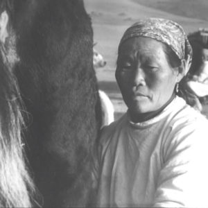 Sheep_and_cows_herders